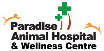 Paradise Animal Hospital & Wellness Centre